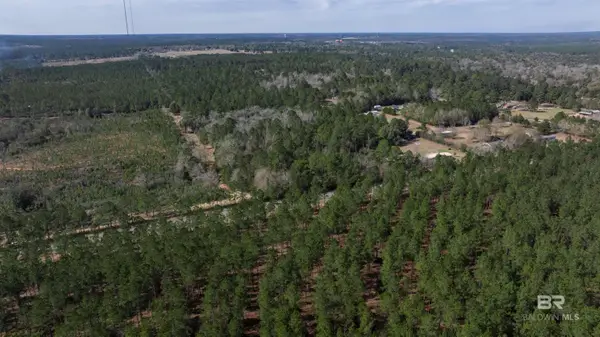 0 Cowpen Creek Road, Robertsdale, AL 36567