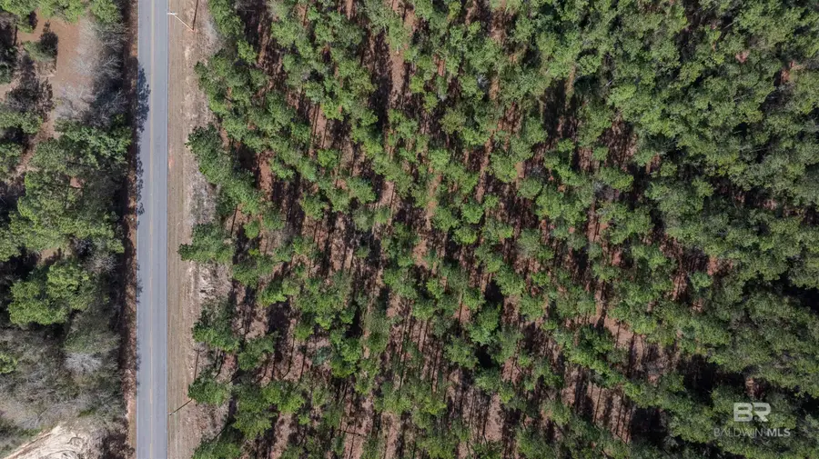 0 Cowpen Creek Road, Robertsdale, AL 36567 - #2