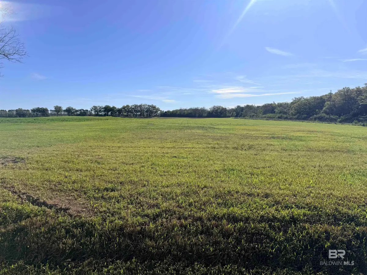 0 Weeks Road, Foley, AL 36535 - #1