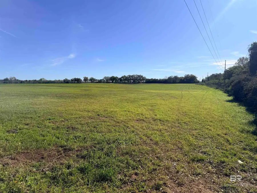 0 Weeks Road, Foley, AL 36535 - #2