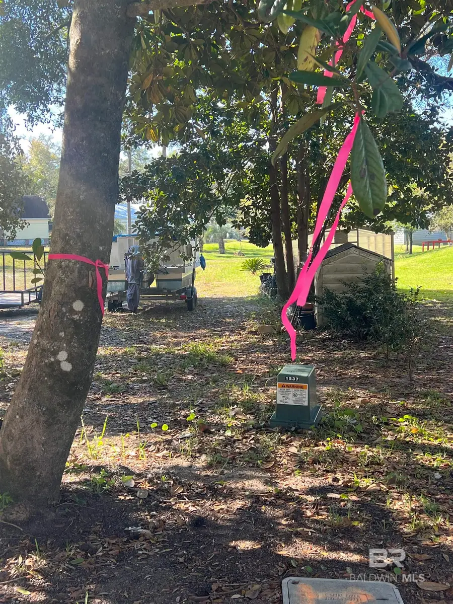 317 Magnolia Drive, Gulf Shores, AL 36542 - #3