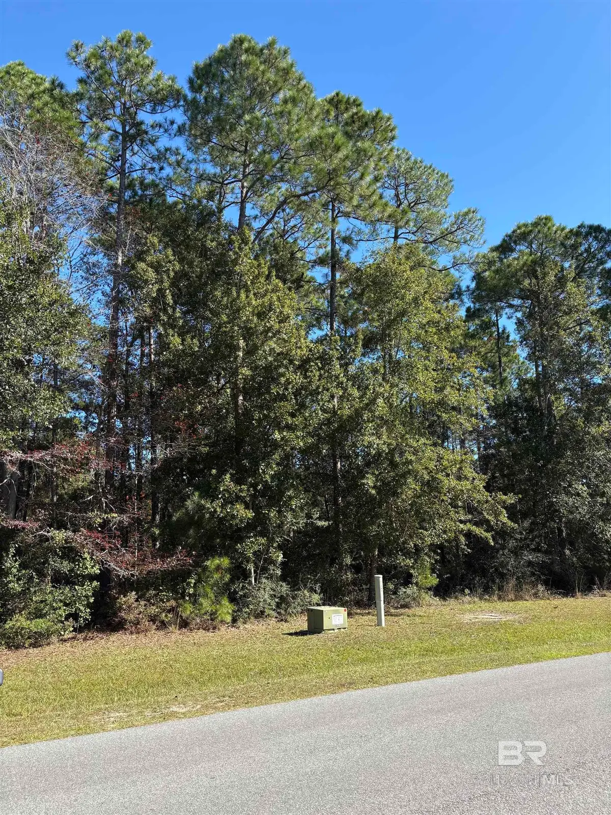 Lot 85 Treasure Oaks Road, Gulf Shores, AL 36542 - #1