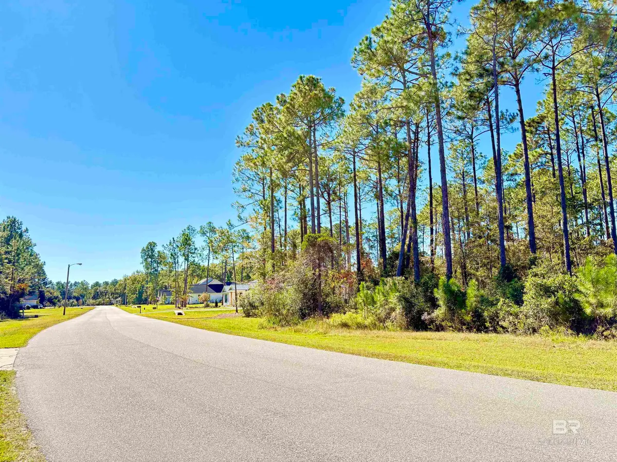 Lot 150 Treasure Oaks Road, Gulf Shores, AL 36542 - #1