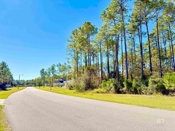 Lot 150 Treasure Oaks Road, Gulf Shores, AL 36542
