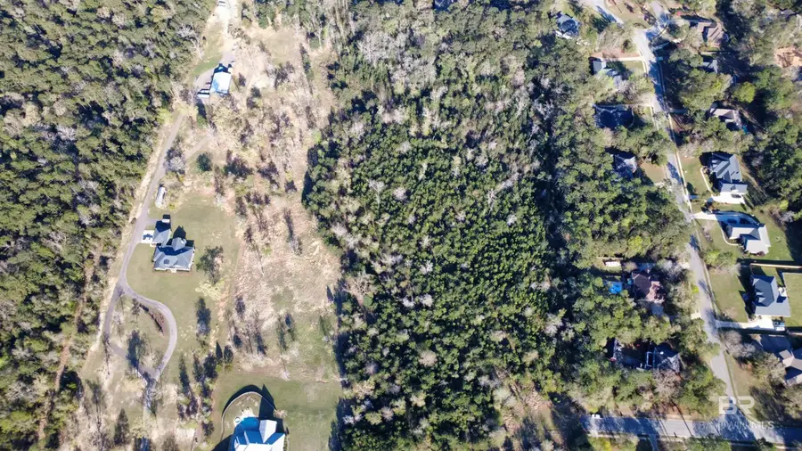 3 State Highway 225, Spanish Fort, AL 36527 - #2