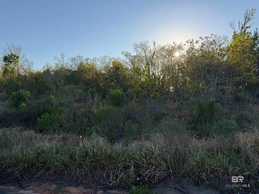 Lot 82 Troon Drive, Foley, AL 36535 - #2