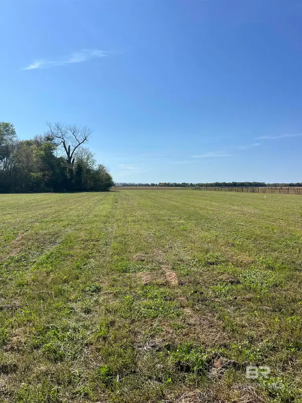 15333 Daugherty Road, Foley, AL 36535