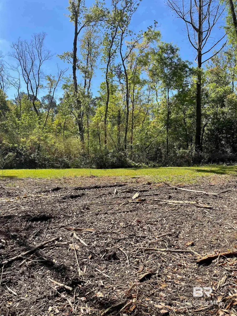 804 Cee Bee Street, Robertsdale, AL 36567 - #3