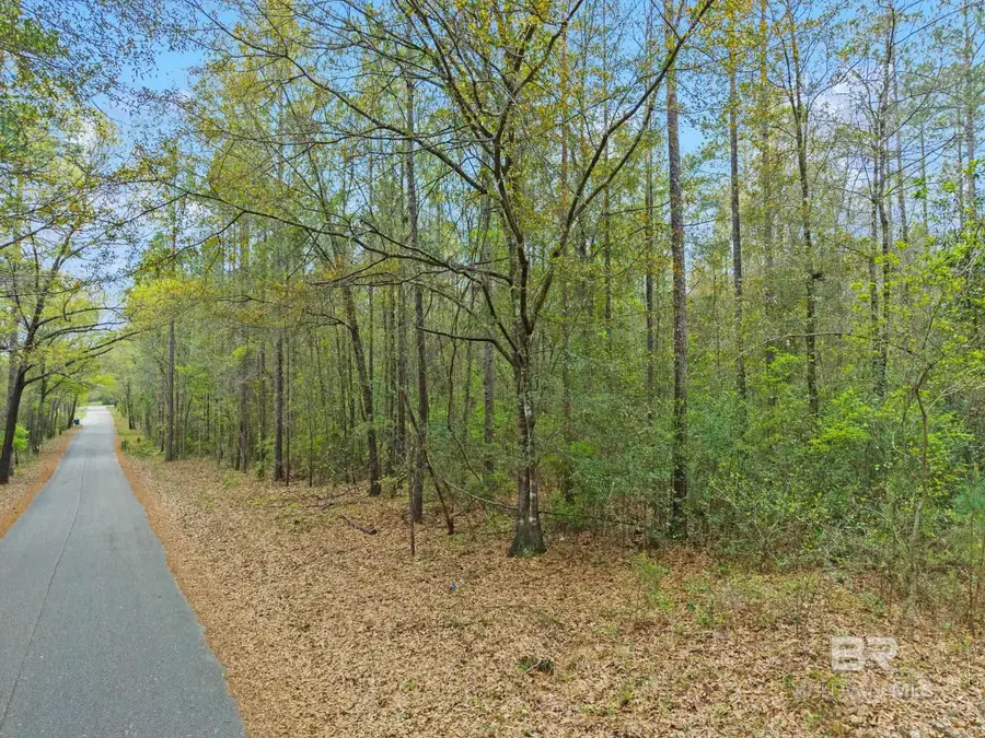 0 Tom Shivers Road, Flomaton, AL 36441 - #2