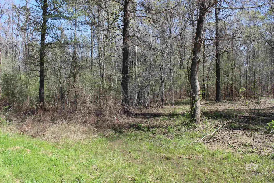 Heron Point Drive, Lowndesboro, AL 36752 - #2