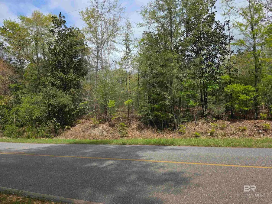 12185 Red Hill Rd Extension, Bay Minette, AL 36507 - #2