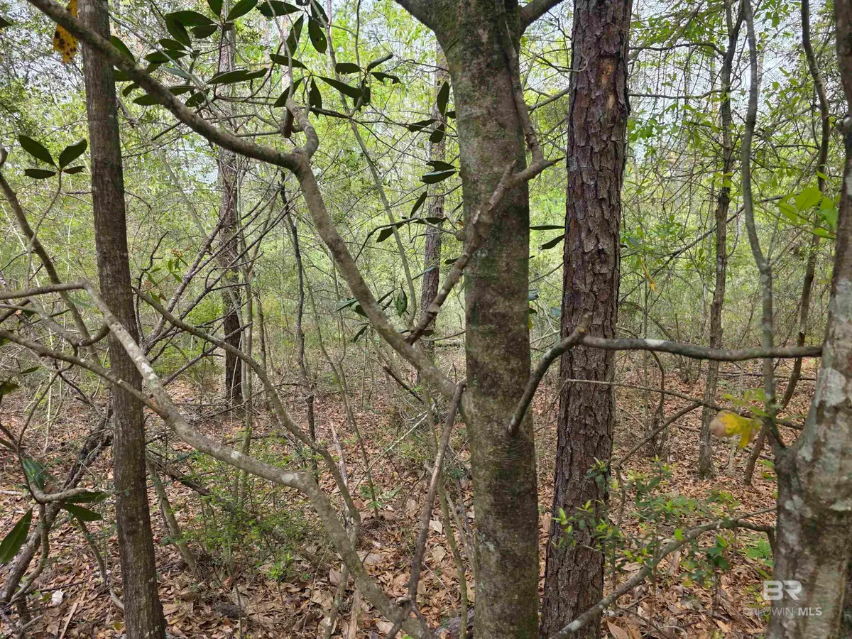 12287 Red Hill Rd Extension, Bay Minette, AL 36507 - #1