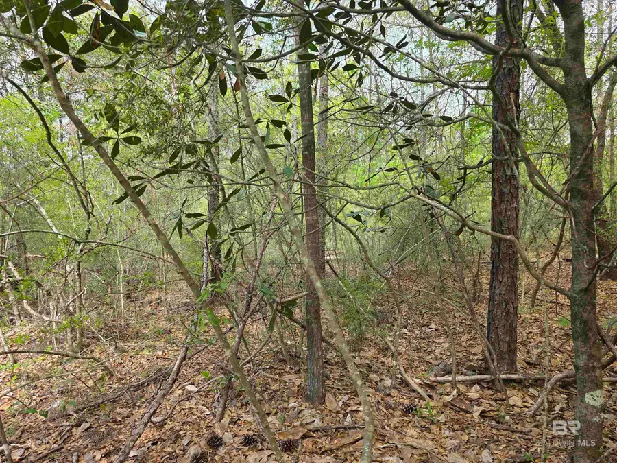 12287 Red Hill Rd Extension, Bay Minette, AL 36507 - #2