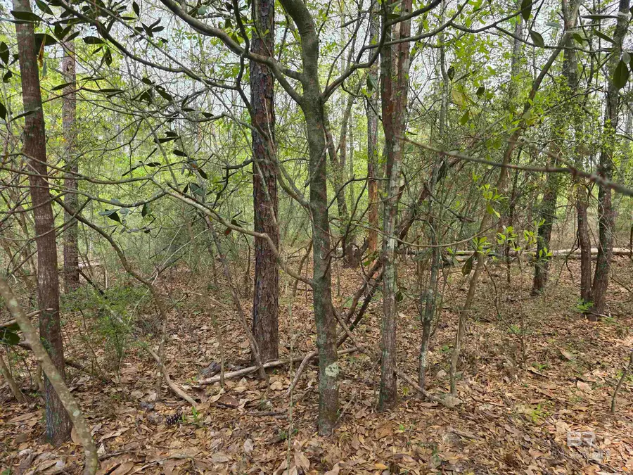 12287 Red Hill Rd Extension, Bay Minette, AL 36507 - #3