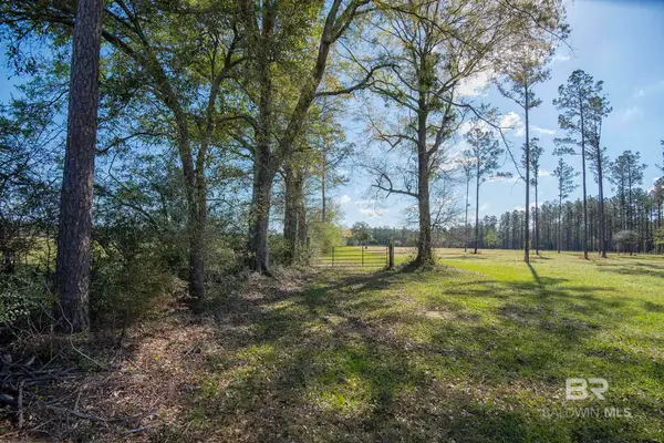 31952 County Road 64 Extension, Robertsdale, AL 36567