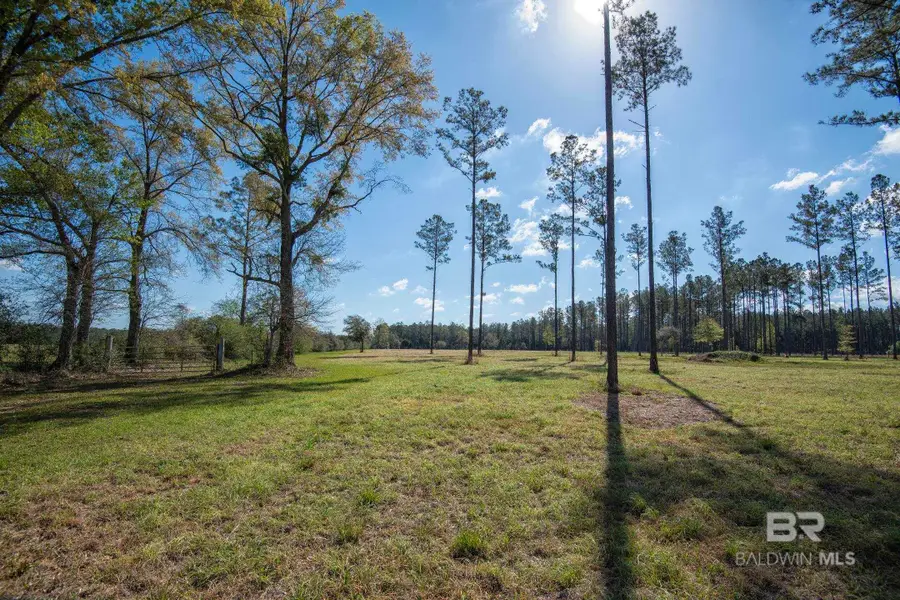 31952 County Road 64 Extension, Robertsdale, AL 36567 - #3