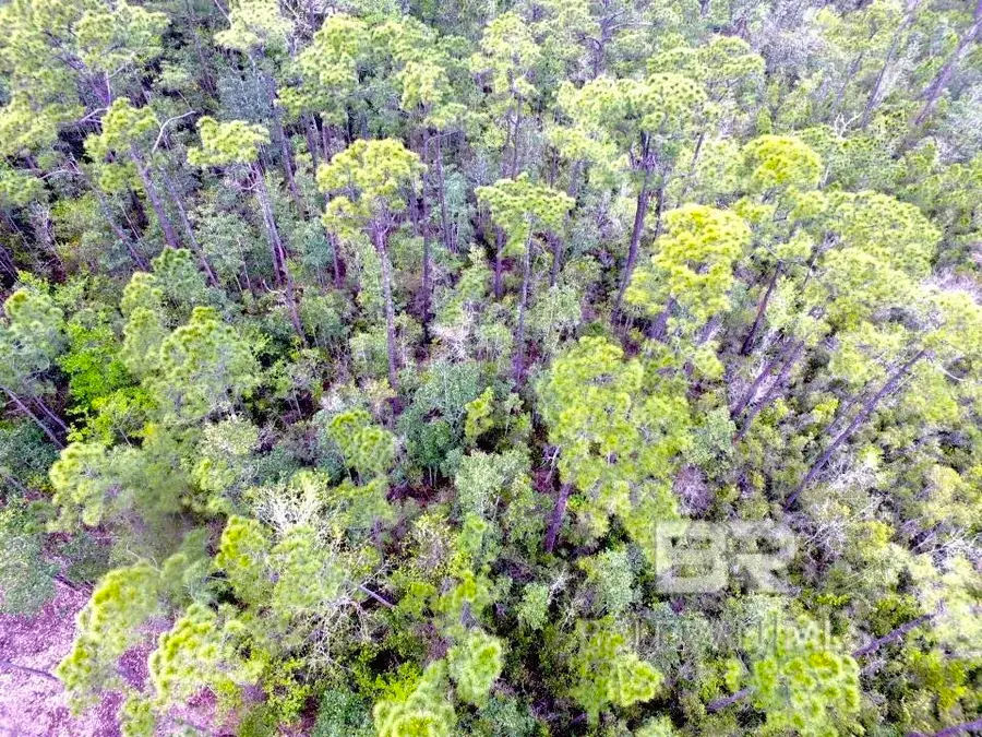 0 Scenic Highway 98, Fairhope, AL 36532 - #2