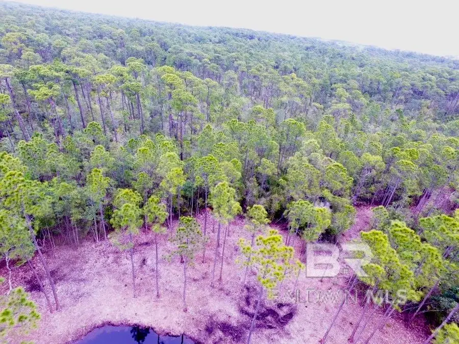 0 Scenic Highway 98, Fairhope, AL 36532 - #3