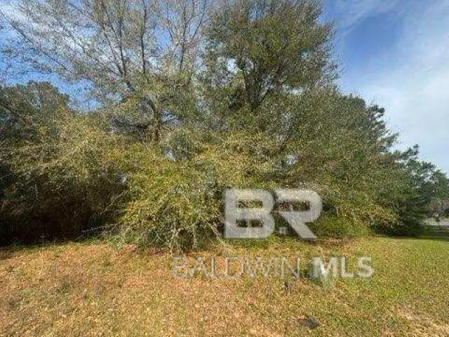 0 Delta Woods Drive, Bay Minette, AL 36507 - #2