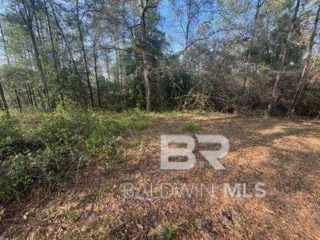 0 Delta Woods Drive, Bay Minette, AL 36507 - #3
