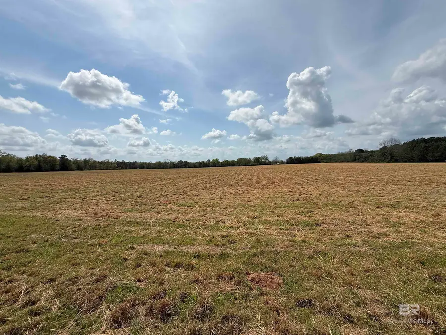 00 Green Road, Jay, FL 32531 - #2