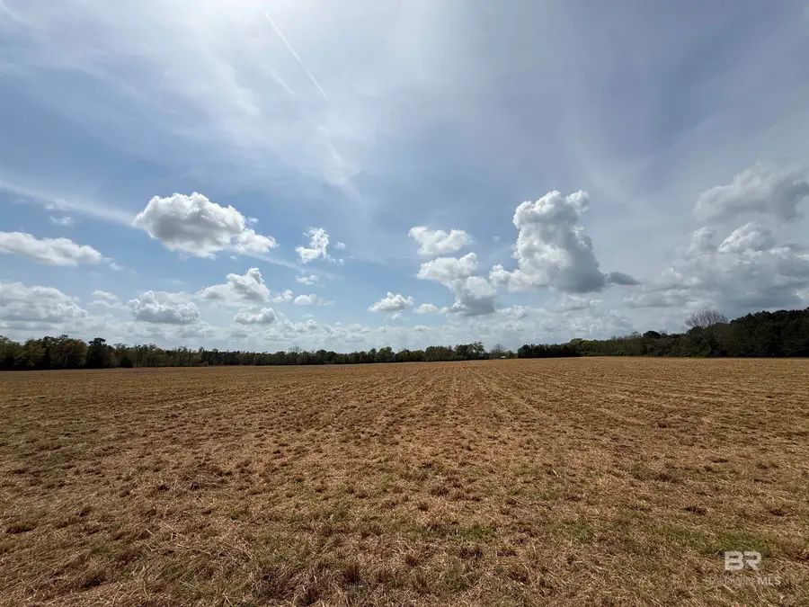 00 Green Road, Jay, FL 32531 - #3