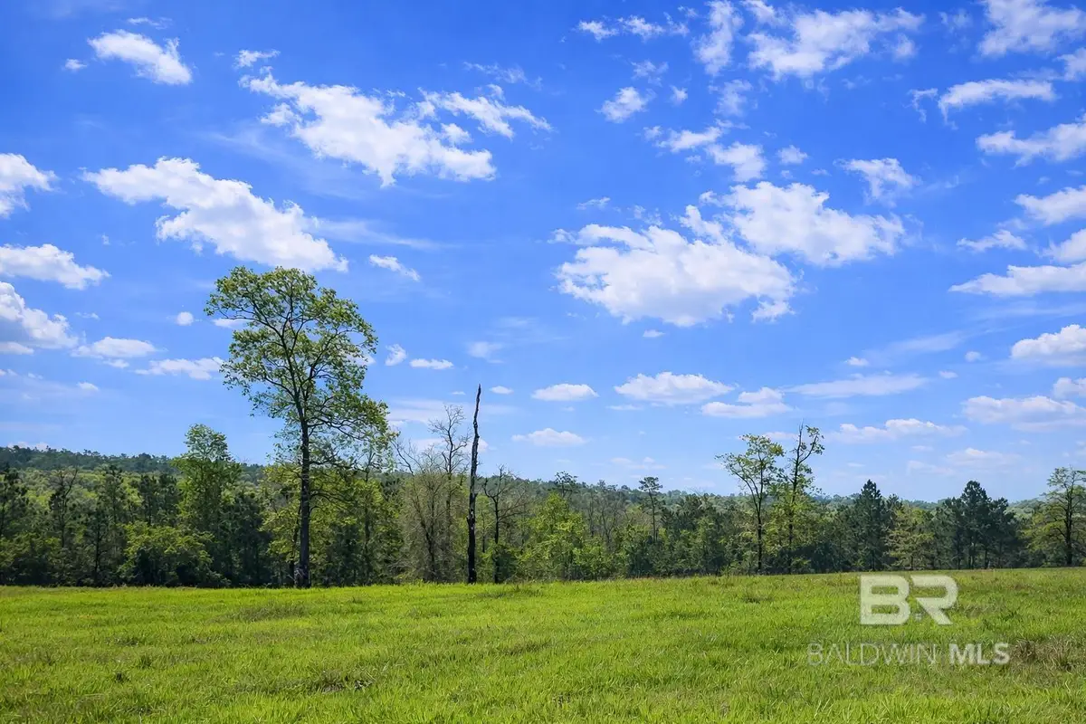0 Powell Road, Eight Mile, AL 36613 - #1