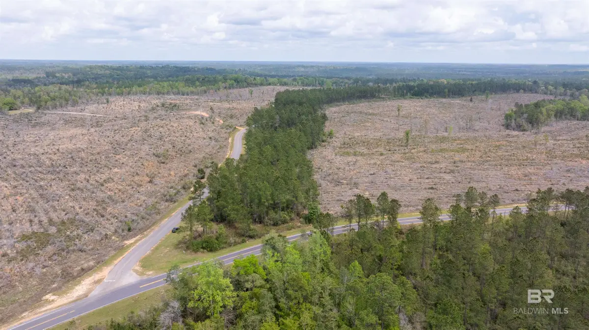 Mosley Road, Stapleton, AL 36578 - #1