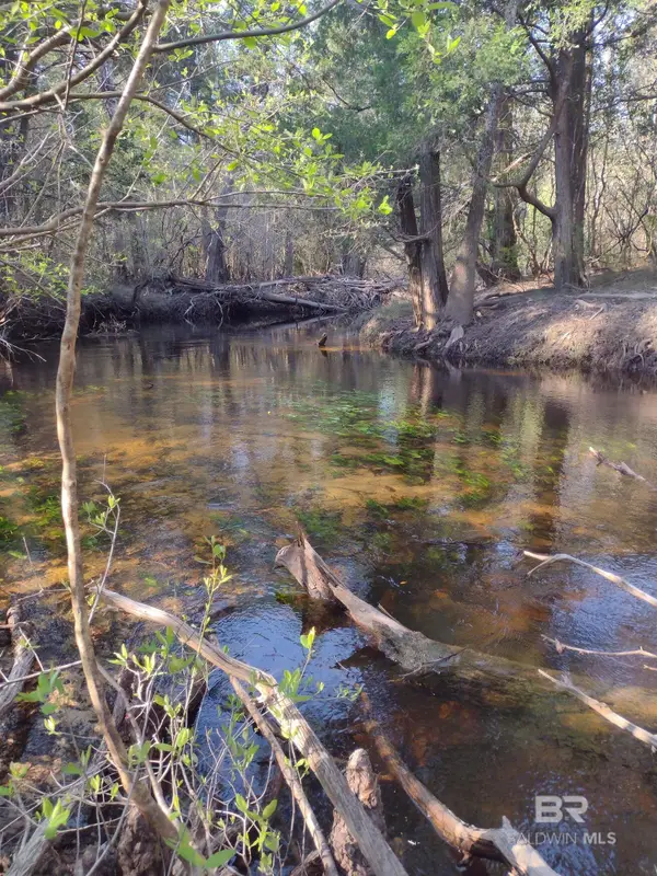 0 Phillipsville Road, Bay Minette, AL 36507