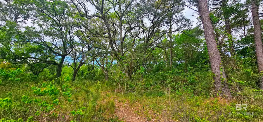 30701 Stanton Road, Spanish Fort, AL 36527 - #2