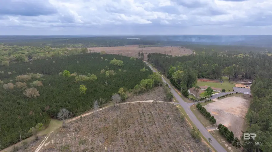 Mosley Road, Stapleton, AL 36578 - #2