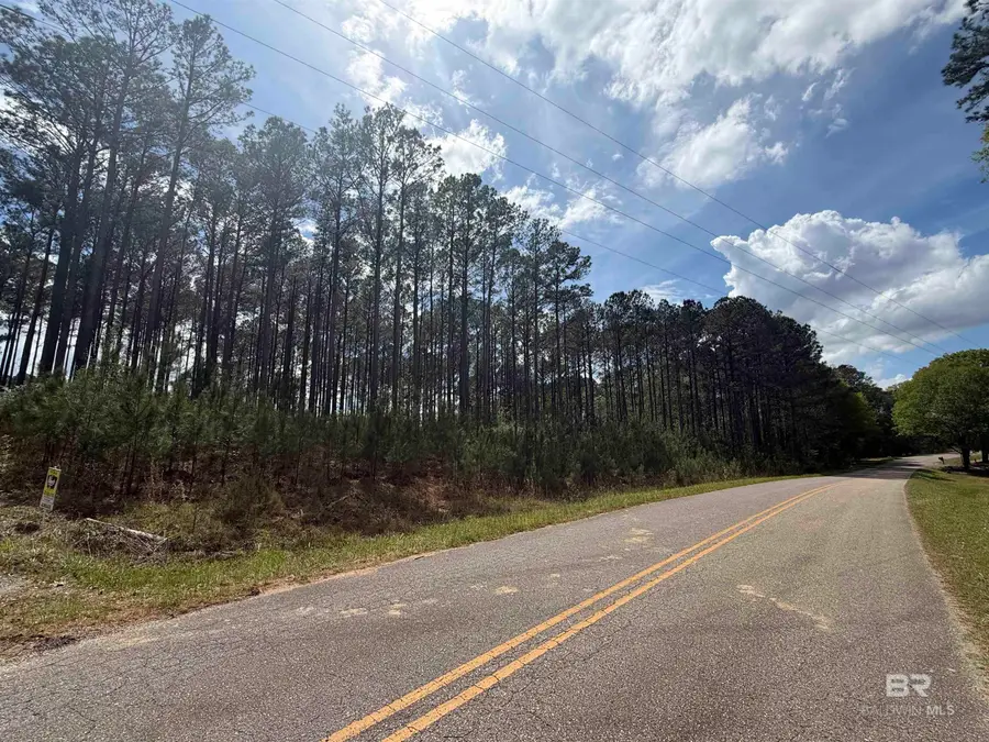 TBD Old Drive In Road, Grove Hill, AL 36451 - #3