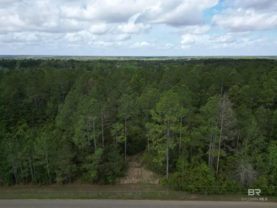 8200 BLK Grimes Road, Century, FL 32535 - #2