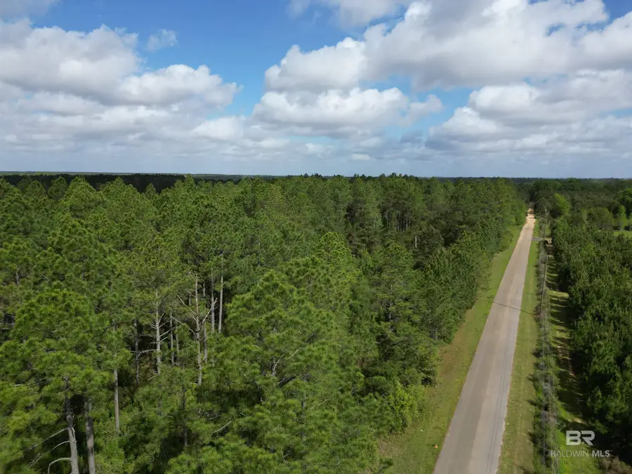 8200 BLK Grimes Road, Century, FL 32535 - #3