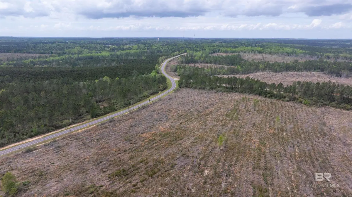 Mosley Road, Stapleton, AL 36578 - #1