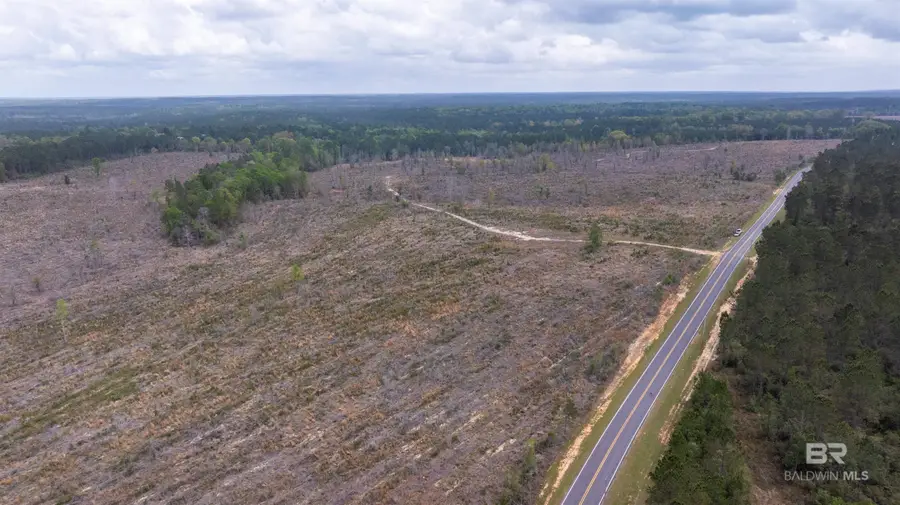 Mosley Road, Stapleton, AL 36578 - #2