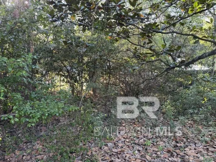 0 Batre Lane, Mobile, AL 36608 - #1