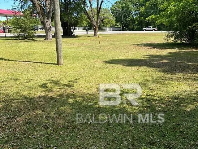 9745 Old Highway 43, Creola, AL 36525 - #1