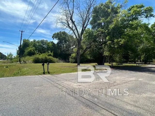 9745 Old Highway 43, Creola, AL 36525 - #3