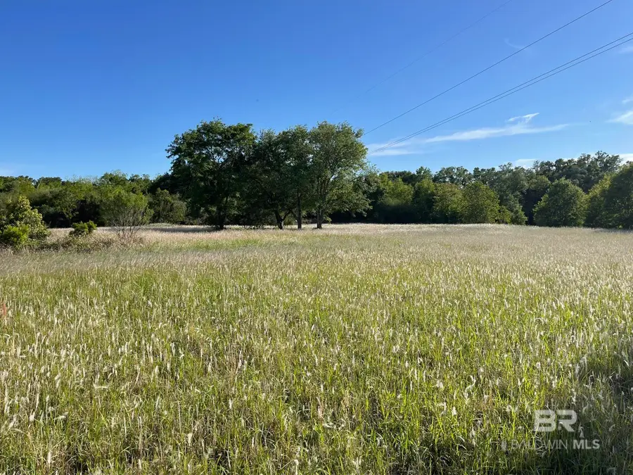 14030 Joe Norris Lane, Foley, AL 36535 - #2