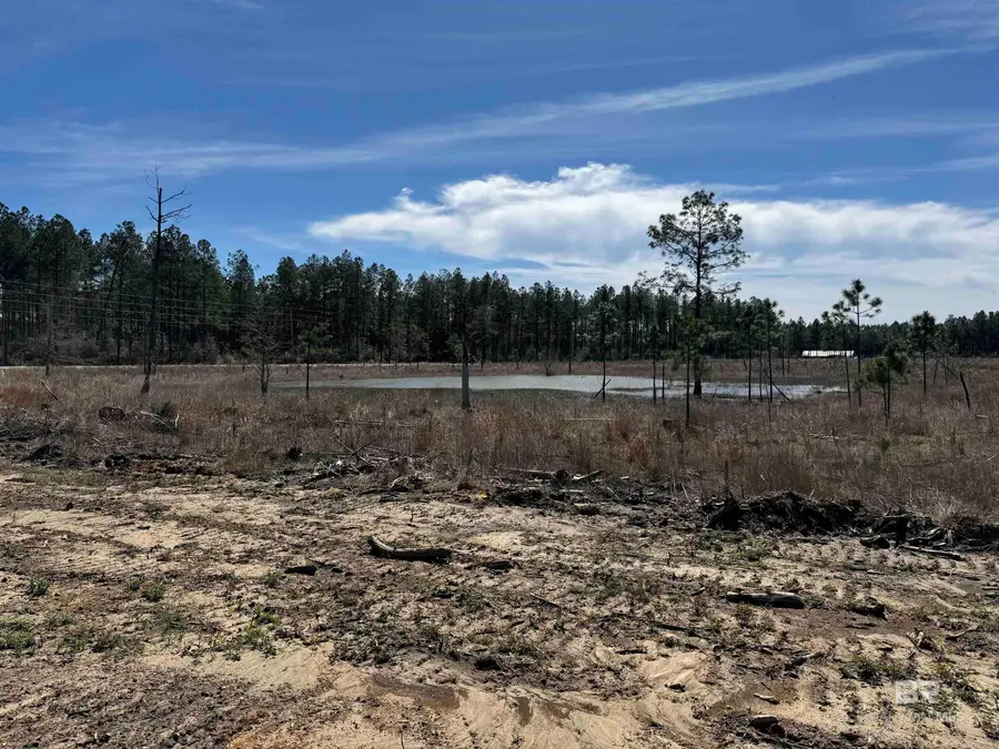 7 County Road 64, Robertsdale, AL 36567 - #2