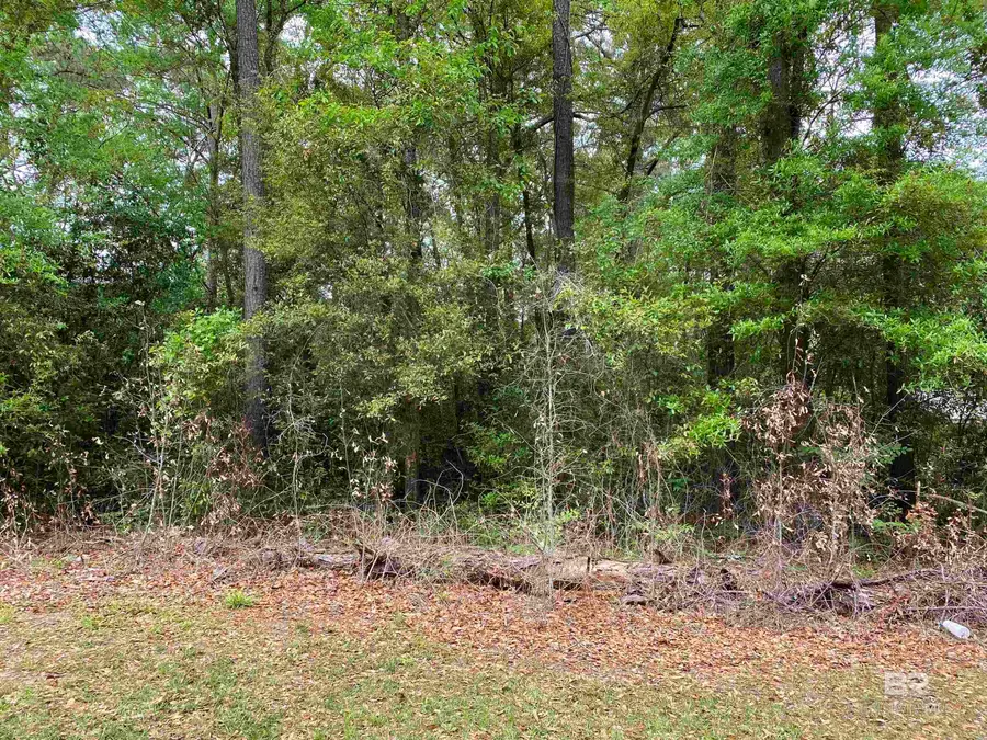 0 Frazier Street, East Brewton, AL 36426 - #2