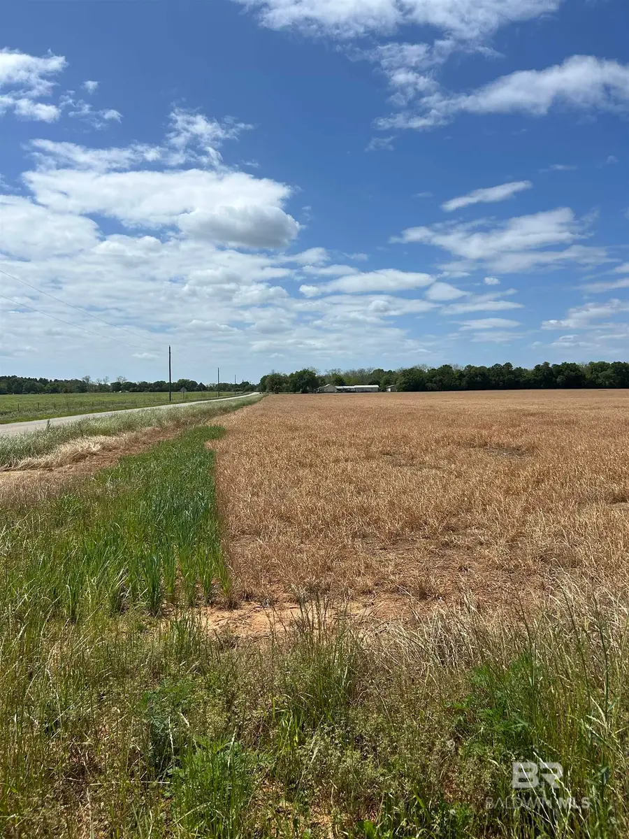 0 County Road 73, Summerdale, AL 36580 - #2