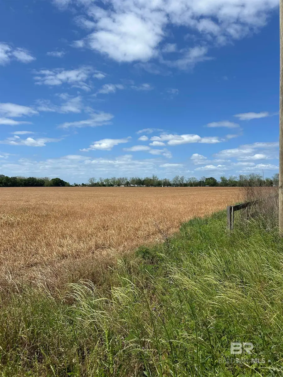 0 County Road 73, Summerdale, AL 36580 - #3