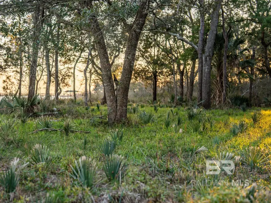 0 Kennedy Road, Bon Secour, AL 36511 - #3