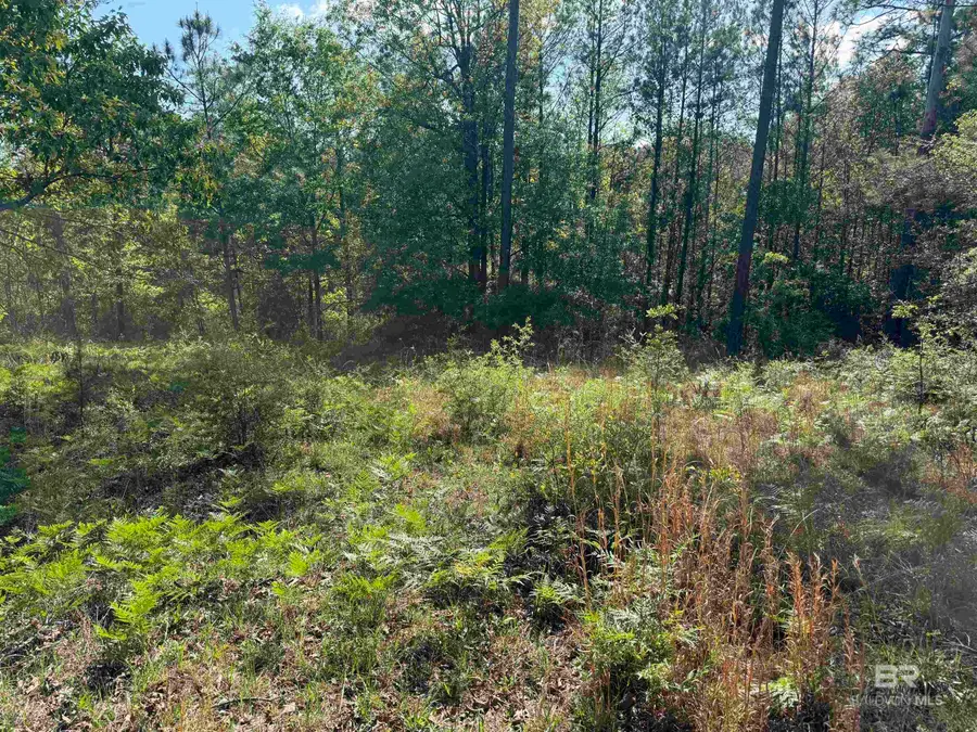 0 Windsor Court, Brewton, AL 36426 - #2