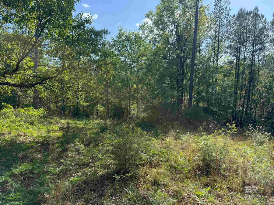 0 Windsor Court, Brewton, AL 36426 - #3