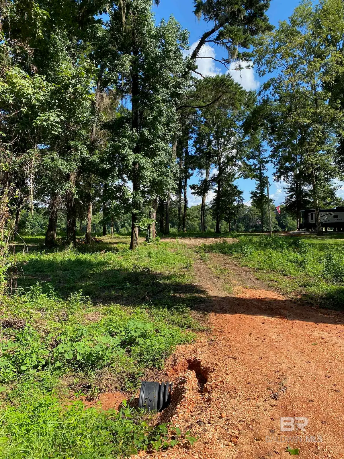 87 Sandy Bottoms Road, Gainestown, AL 36540 - #1