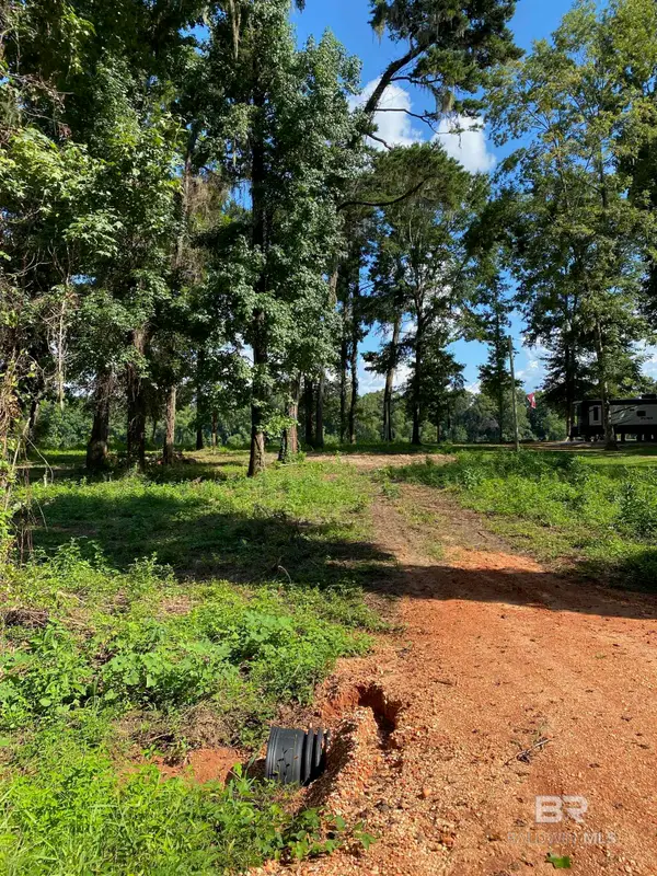 87 Sandy Bottoms Road, Gainestown, AL 36540