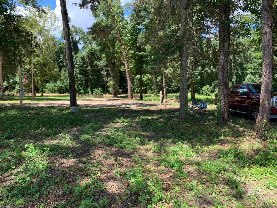 87 Sandy Bottoms Road, Gainestown, AL 36540 - #2